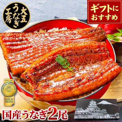 ギフト 国産 うなぎ 長蒲焼 2尾 鰻 ウナギ 蒲焼き 蒲焼 プレゼント 内祝い お祝い 誕生日 結婚祝い 御礼 お返し 70代 80代 食べ物 冷凍 爆買