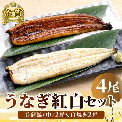 うなぎ 国産 蒲焼き  紅白4尾セット 国産うなぎ長蒲焼(中)＆ 白焼き 各2尾 長焼き 白焼き 誕生日 プレゼント ギフト お祝い 内祝い 爆買