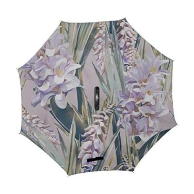 すべての花の画像 新着逆さ ヒヤシンス