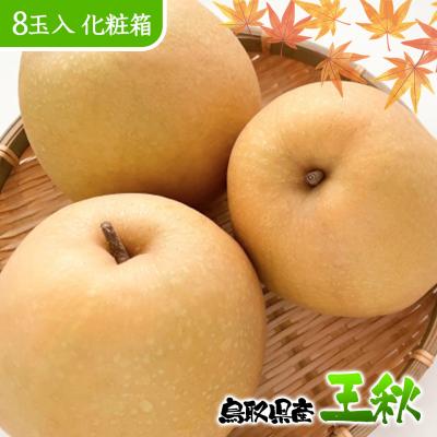 梨 なし 王秋 贈答用 お歳暮 ギフト プレゼント 化粧箱入 鳥取県産 王秋梨 化粧箱 8玉入 贈答用 送料無料