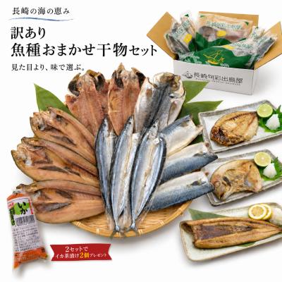 干物 詰め合わせ 訳あり産直おまかせ干物セット 同一配送先2セット以上でオマケ 冷凍便送料無料 プレゼント 50代 60代 70代 80代