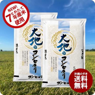 セール 米 大地のコシヒカリ 10kg 白米 お米 安い 10キロ 令和7年産米入り 送料無料 (沖縄のぞく)