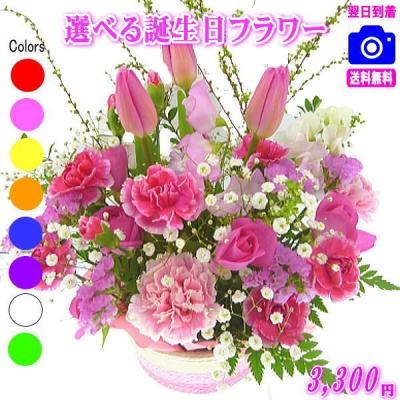 花 ギフト 誕生日 フラワーアレンジメント 花束 3,300円 送料無料 翌日配達 クール便対応！ プレゼント メッセージカード付【200円OFFクーポン進呈】 爆買