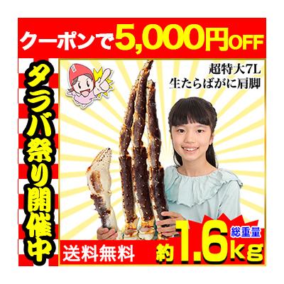 かに カニ 蟹 タラバガニ たらば蟹 | 超特大7L生たらばがに肩脚1肩（総重量約1.6kg）【送料無料】 爆買