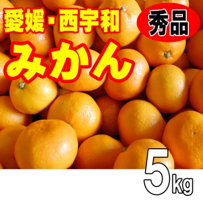 愛媛 西宇和 八幡浜 みかん 秀品 ギフト 贈答用 お歳暮 5kg Sサイズ Mサイズ 送料無料