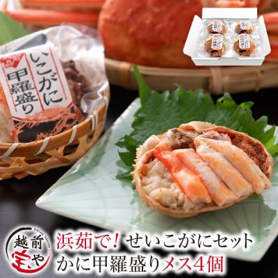 ギフト セイコガニ 4個 香箱ガニ 甲羅盛 カニ 海鮮丼 せいこがに ボイル かに丼 カニ丼 ((冷凍))