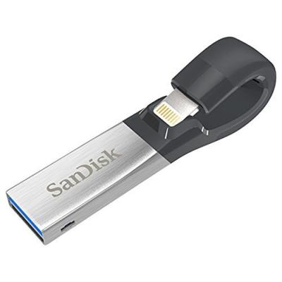iXpand Slim SDIX30C-128G-GN6NE (128GB)の商品画像