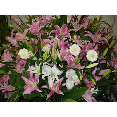 フラワーアレンジメント 10,000円 花 ギフト 母の日 父の日 誕生日 お祝い　