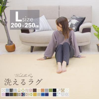 ラグ カーペット ラグマット 洗える 3畳 200×250 オールシーズン おしゃれ 秋 冬 北欧  絨毯 抗菌 防ダニ フリーリー