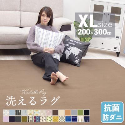 ラグ カーペット ラグマット 3.5畳 洗える 200×300 オールシーズン おしゃれ  秋 冬 北欧  絨毯 抗菌 防ダニ フリーリー