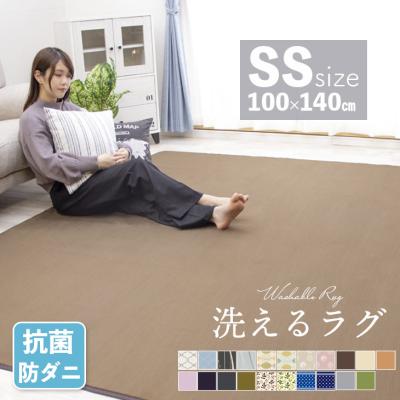 ラグ カーペット ラグマット 洗える 1畳 100×140 オールシーズン おしゃれ 秋 冬 北欧  絨毯 抗菌 防ダニ フリーリー