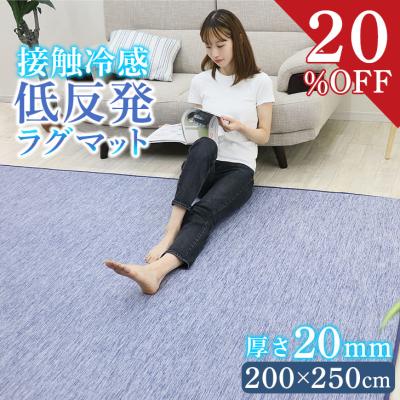 ラグ 夏 低反発 ひんやり 冷感 接触冷感 200×250 低反発 20ｍｍ 極厚 ふかふか ウレタン カーペット ラグマット 夏用 ひんやりマット おしゃれ フリーリー