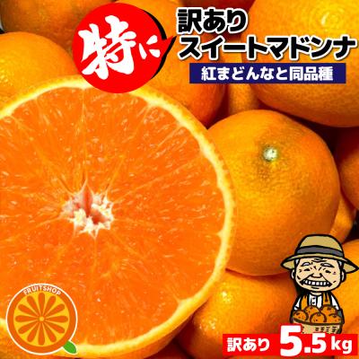 愛媛産 ご家庭用 特に訳ありスイートまどんな 5kg(+約0.5kg多め) 送料無料 不揃い 傷 汚れ有 紅まどんなと同品種 あいか 愛媛果試第28号