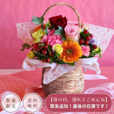 【母の日  遅れてごめんね 2026】花 アレンジメント フラワーギフト 花かご バスケット 日にち指定OK 生花　プレゼント バラ　カーネーション
