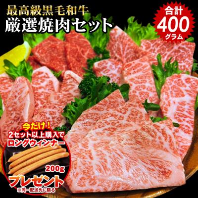 焼肉 食べ比べ 最高級 黒毛和牛 店長厳選 おまかせ焼肉セット 400g 5種類入り 2個以上でウィンナーおまけ バーベキュー 肉 セット 福袋 BBQ 爆買