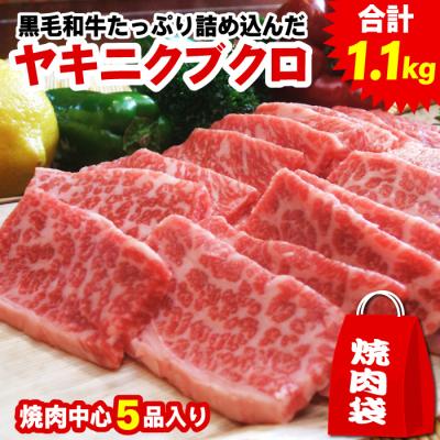 焼肉 福袋 ヤキニクブクロ 合計1.1kg 5種入り 黒毛和牛 阿波黒牛 焼肉セット バーベキュー BBQ 肉 牛肉 セット 焼肉袋 2026 食品 爆買