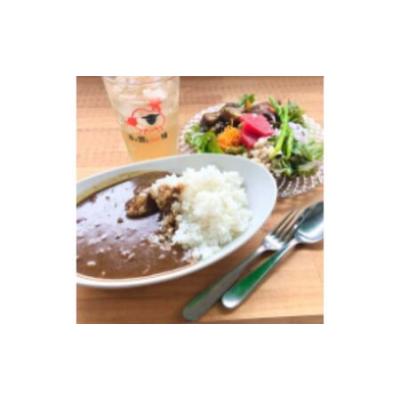 ふるさと納税 ジビエカレー2人分 惣菜 洋食 レトルトカレー 鹿肉 猪肉 湯煎調理 温めるだけ ランチ お昼ご飯 夕飯 ジビエ料理  千葉県成田市