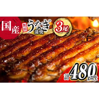 ふるさと納税 【2026年2月お届け】高評価！ 鰻 鰻楽 国産 3尾【C444-2602】 宮崎県新富町
