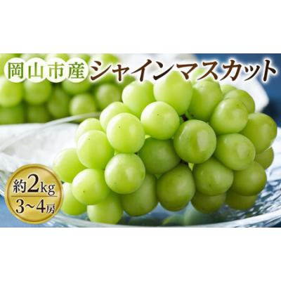 ふるさと納税 ぶどう 2026年  シャインマスカット 3〜4房（約2kg） ブドウ 葡萄 岡山市産 国産 フルーツ 果物 ギフトタンポポ農園 岡山県岡山市
