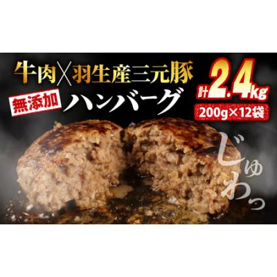 ふるさと納税 冷凍 ハンバーグ 2.4kg 個包装 無添加 大容量 ギフト お歳暮 大判ハンバーグ 埼玉県羽生市