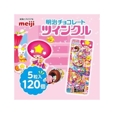ふるさと納税 明治　ツインクル　5粒入×120個_菓子・スイーツ チョコレート  _【1545100】 埼玉県坂戸市