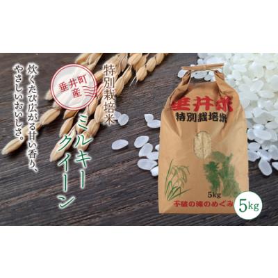 ふるさと納税 令和7年産 【新米】 特別栽培米 垂井町産 ミルキークイーン 5kg ｜ お米 米 こめ コメ 白米 精米 ご飯 ライス 産地直送 ギフト 贈.. 岐阜県垂井町