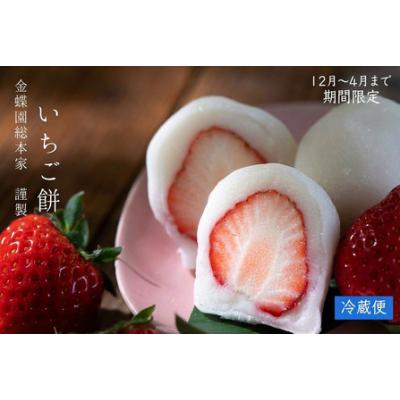 ふるさと納税 いちご餅 大福 10個｜大福 岐阜県大垣市