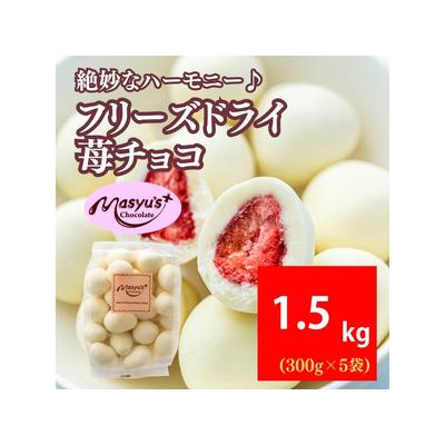 ふるさと納税 フリーズドライ苺チョコ 1500g 300g×5袋 11月〜3月発送 チョコレート 兵庫県伊丹市
