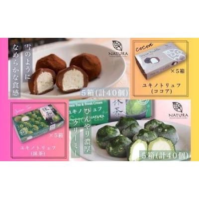 ふるさと納税 チョコレート ショコラトリュフ ココア 抹茶 スイーツ 生洋菓子  新潟県 南魚沼市 ナトゥーラ 濃厚ひんやり ユキノトリュフ 計10.. 新潟県南魚沼市