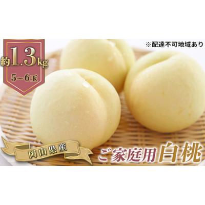 ふるさと納税 桃 2026年 先行予約 ご家庭用 岡山の 白桃 早生種 5〜6玉 合計約1.3kg もも モモ 岡山県産 国産 フルーツ 果物 ギフト 岡山県瀬戸内市