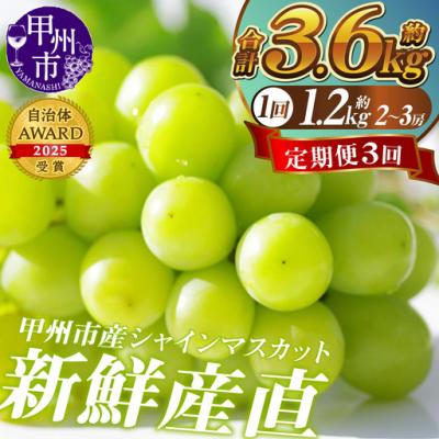 ふるさと納税 新鮮産直！甲州市・シャインマスカット3回定期便【2026年発送】（KSF）D5-125 シャインマスカット フルーツ 山梨県甲州市
