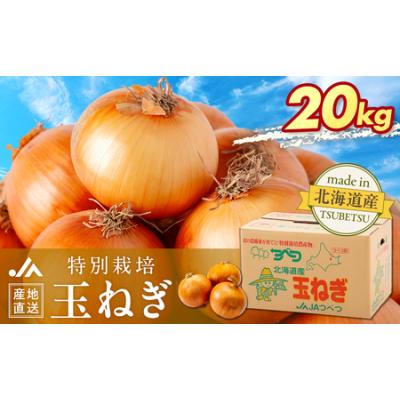 ふるさと納税 【先行受付】R8年産 特別栽培玉ねぎ 20kg | 玉ねぎ たまねぎ タマネギ 玉葱 大容量 オニオン 甘い 減農薬 特別栽培 国産 カレー ハ.. 北海道津別町