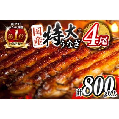 ふるさと納税 【2026年1月にお届け】特大 うなぎ 鰻楽 国産 うなぎ 4尾【C388-800-2601】 宮崎県新富町