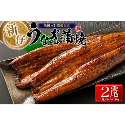 ふるさと納税 鰻 2尾 宮崎県産 B541-30-2311 宮崎県新富町