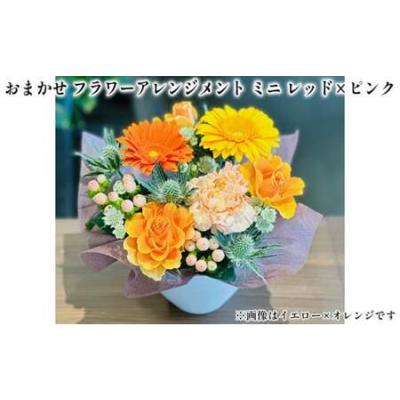 ふるさと納税 おまかせ フラワーアレンジメント ミニ（レッド×ピンク） 母の日 父の日 ギフト お祝い 兵庫県福崎町