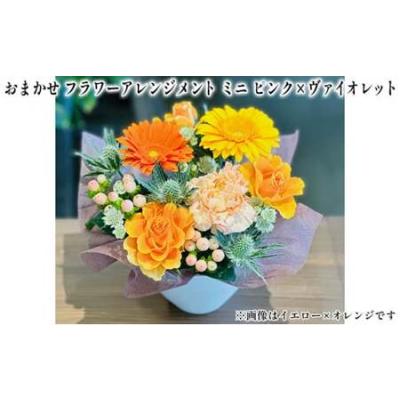 ふるさと納税 おまかせ フラワーアレンジメント ミニ（ピンク×ヴァイオレット） 母の日 父の日 ギフト お祝い 兵庫県福崎町