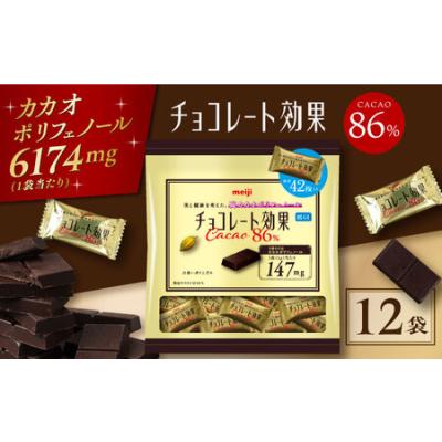 ふるさと納税 チョコレート カカオ86％ 12袋 [AOAA024] ビターチョコレート 大阪府高槻市