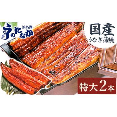 ふるさと納税 浜名湖・うなぎのたなかの長蒲焼2本セット!ふっくら柔らか♪国産うなぎ長蒲焼※合計360g程度_鰻 国産 ギフト_【配送不可地域：離島.. 静岡県磐田市