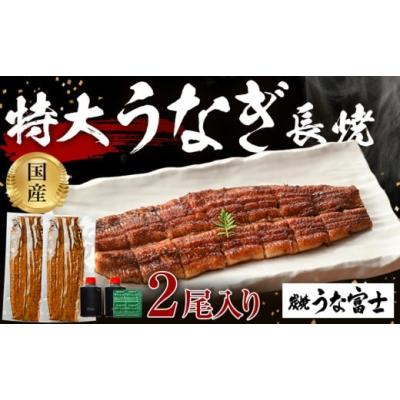 ふるさと納税 うなぎ 愛知県 名古屋市 炭焼うな富士 国産特大うなぎ長焼二尾入り | うなぎ 鰻 国産 蒲焼き 炭火焼き 長焼き 土用 丑の日 土用丑の日 タレ付き …