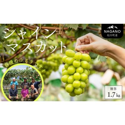 ふるさと納税 ぶどう マスカット 長野県 松川町 KG01-26A 先行予約 ぶどう 農家直送 シャインマスカット 贈答 約1.7kg 種なし／ 2026年9月下旬〜発送 ／／ 長…