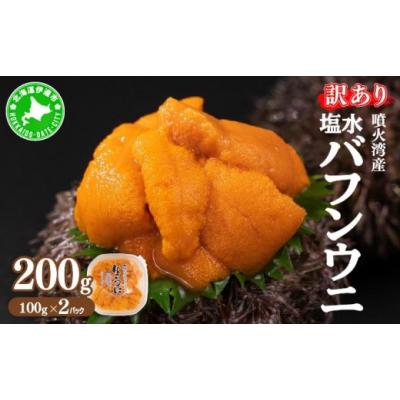 ふるさと納税 ウニ 北海道 伊達市  5525-0812 訳あり 北海道 噴火湾産 塩水 バフンウニ 100g 2パック 計200g うに ウニ 雲丹 海鮮 海の幸 魚介類 ウニ丼 お寿…