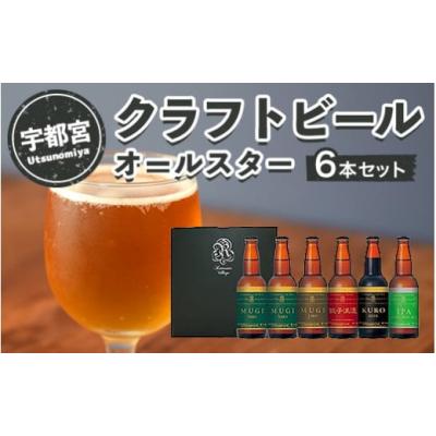 ふるさと納税 ビール 地ビール 栃木県 宇都宮市 宇都宮 クラフトビール オールスター6本セット(各330ml) ビール ギフト 飲み比べ 栃木県 宇都宮市 離島への配…