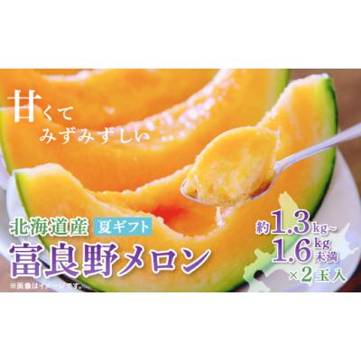 ふるさと納税 メロン メロン赤肉 北海道 富良野市  2026年発送　先行受付 富良野メロン(赤肉)夏ギフト1.3kg〜1.6kg未満2玉入_ メロン めろん 赤肉 果物 くだも…