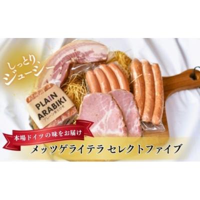 ふるさと納税 肉 ハム 新潟県 新潟市 メッツゲライテラ　セレクトファイブ