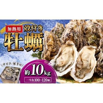 ふるさと納税 牡蠣 岡山県 備前市  2026年2月以降発送 殻付き牡蠣(加熱用)　一斗缶（約10kg） 加熱用 ガンガン焼き ナイフ付き 殻付き 一斗缶 海鮮 魚介類 海…