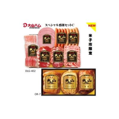 ふるさと納税 肉 ハム 鳥取県 米子市 〈大山ハム〉スペシャル感謝セットC（米子市限定）全10品入り