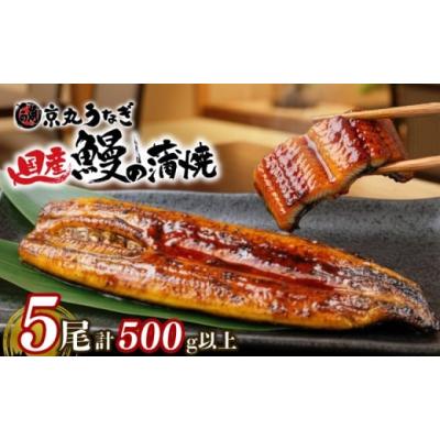 ふるさと納税 うなぎ 静岡県 沼津市 国産 うなぎ 蒲焼 5尾 約500g 鰻 肝 佃煮 ギフトボックス セット 老舗 専門店 うなぎ処京丸 静岡県 人気 小分け 高級 土用…