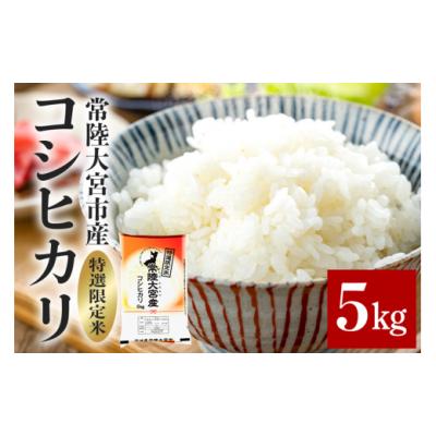 ふるさと納税 米 コシヒカリ 茨城県 常陸大宮市 常陸大宮産 コシヒカリ 5kg 特選限定米 白米 精米 おこめ ご飯 国産米 お米ギフト ブランド米 贈答用 人気のお…