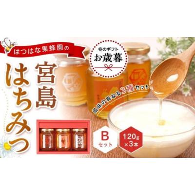 ふるさと納税 加工品等 はちみつ 広島県 廿日市市  お歳暮ギフト／熨斗付 はつはな果蜂園の宮島はちみつセット B