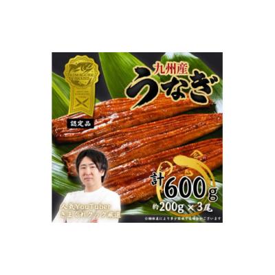 ふるさと納税 うなぎ 福岡県 添田町  ふるさと納税 きまぐれクック厳選 うなぎ 国産 3尾 (約600g) 九州産 手焼き 鰻 蒲焼き a1000 夏ギフト お中元 返礼品 福…